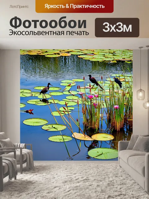 Фотообои япония: небольшое озеро, усыпанное кувшинками, с кристально чистой водой, отражающей небо