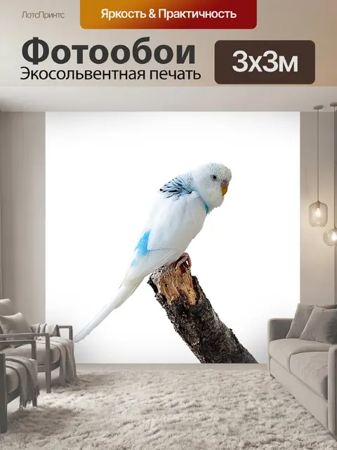 Фотообои Изображение обрезано