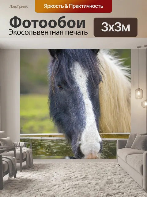 Фотообои лошадь