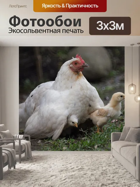 Фотообои Птицы