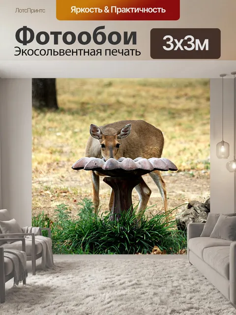 Фотообои Белоснежный олень в Bird Bath