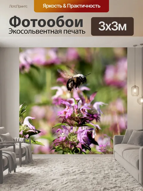 Фотообои Карпентер-пчела в полете