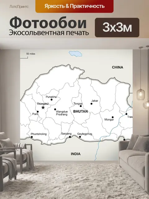 Фотообои Политический