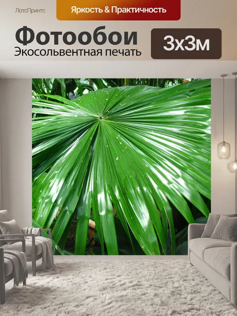Фотообои пальмовый лист