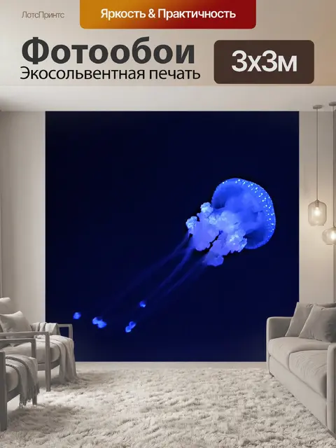 Фотообои Медузы