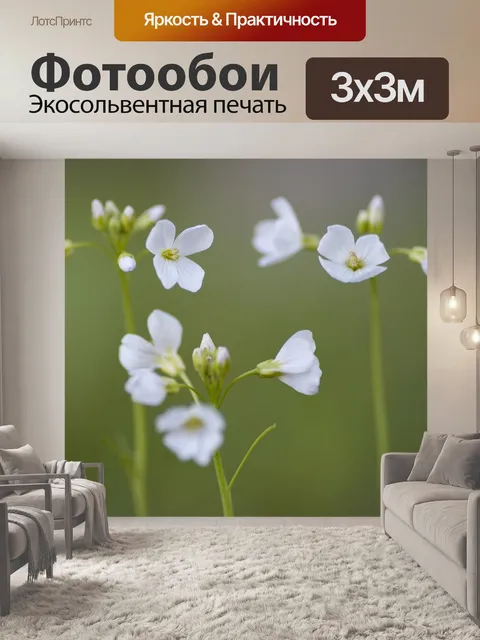 Фотообои Сладкий вудрафф