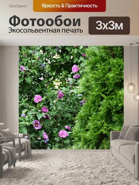 Фотообои Зеленый