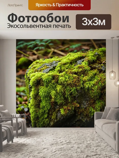 Фотообои текстура покрытого мхом камня в лесу