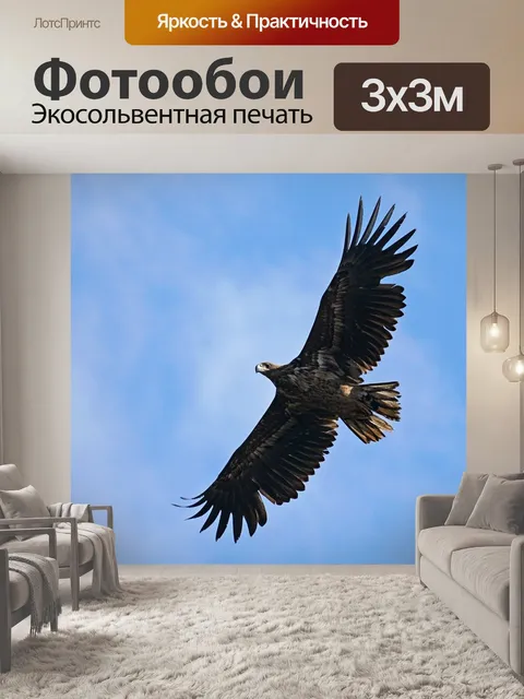 Фотообои Орел