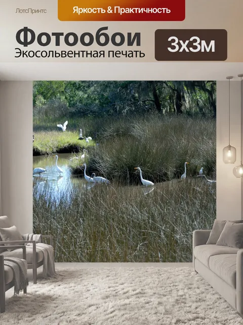 Фотообои Тропические птицы