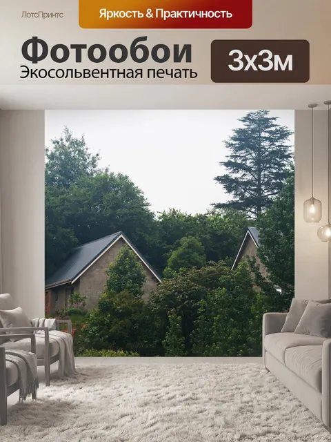 Фотообои вид коттеджей в тумане