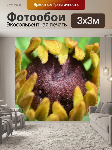 Фотообои Тычинка