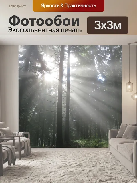 Фотообои Лес