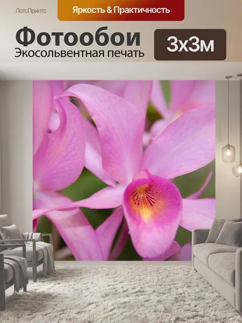 Фотообои Орхидеи