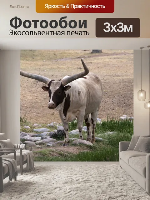 Фотообои Ониксовая корова