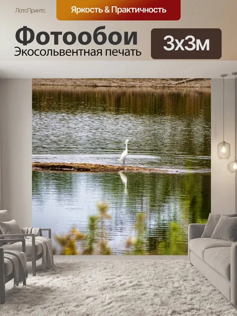 Фотообои эгрет