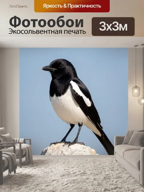 Фотообои Черно-белая птица на камне