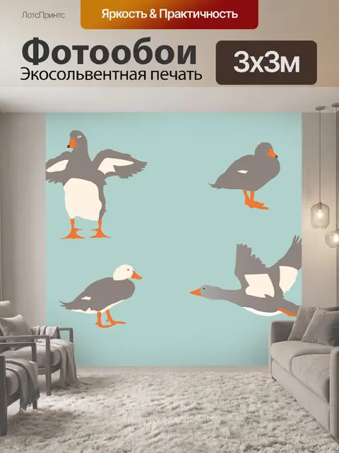 Фотообои Ducks