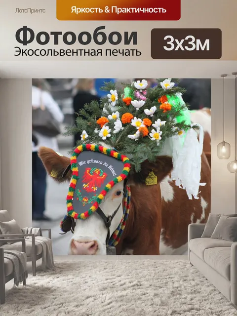 Фотообои Альпийский драйв