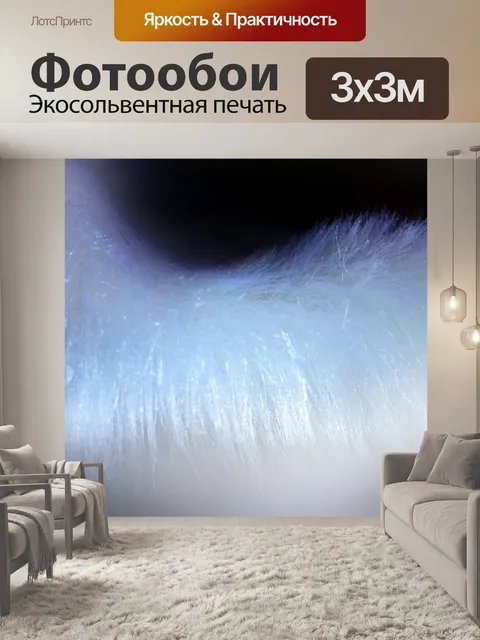 Фотообои Пушистый перспектива 12