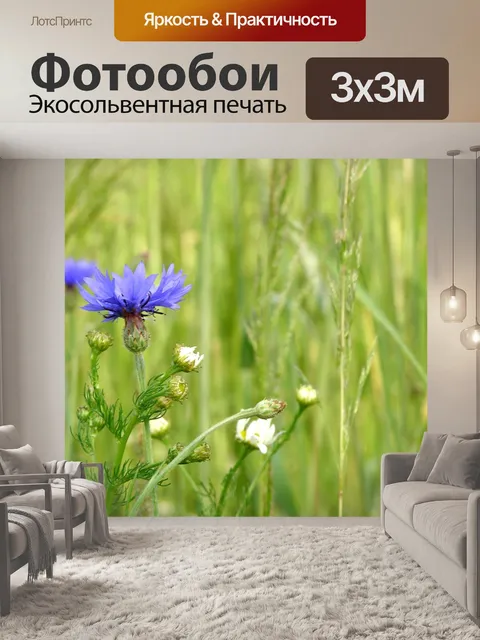Фотообои Васильковый