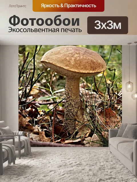 Фотообои Березовый кремень