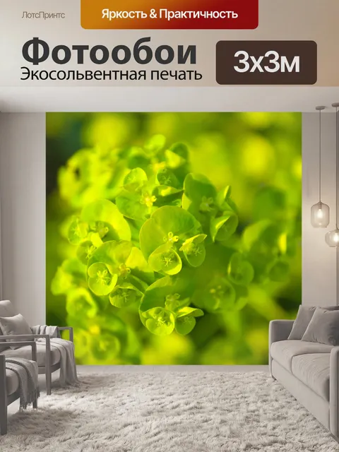 Фотообои ажурные зеленые растения