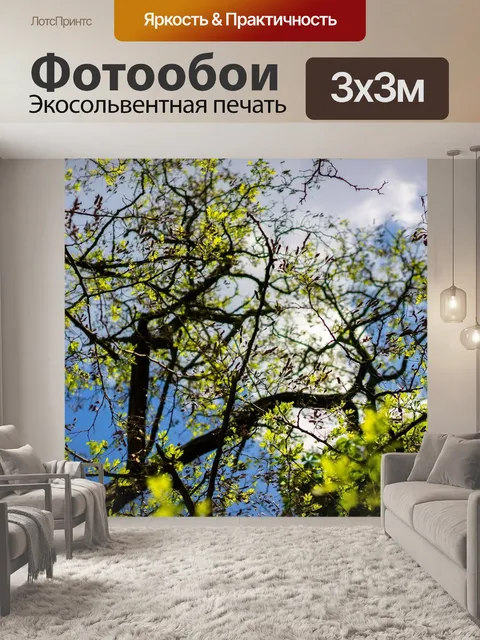 Фотообои Деревья