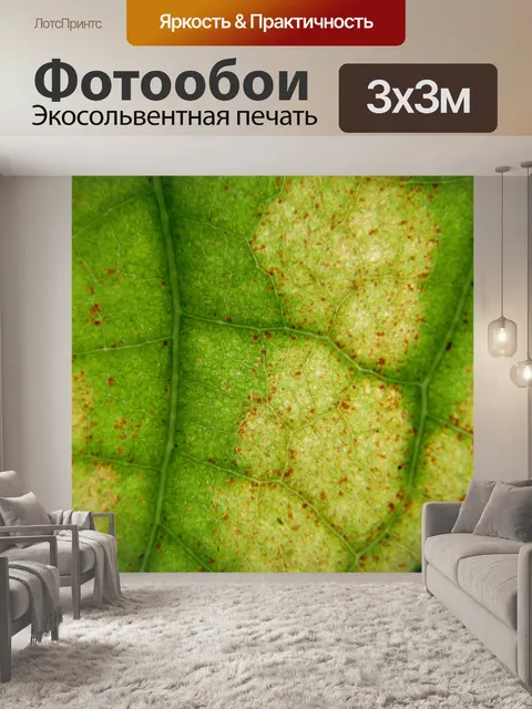 Фотообои Лист
