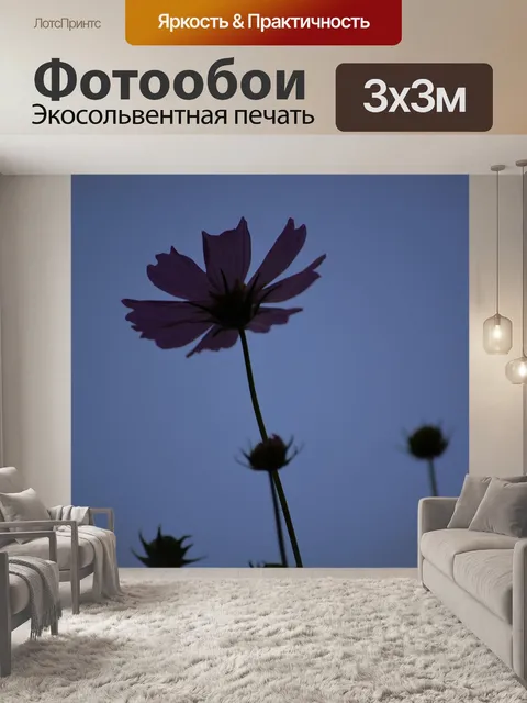 Фотообои Закат