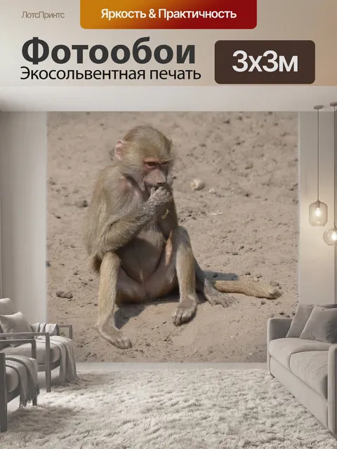 Фотообои Обезьяны, бабуины 05