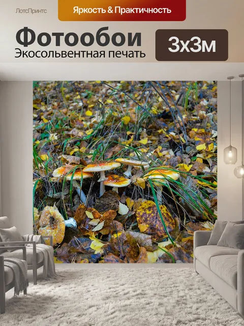 Фотообои Осень