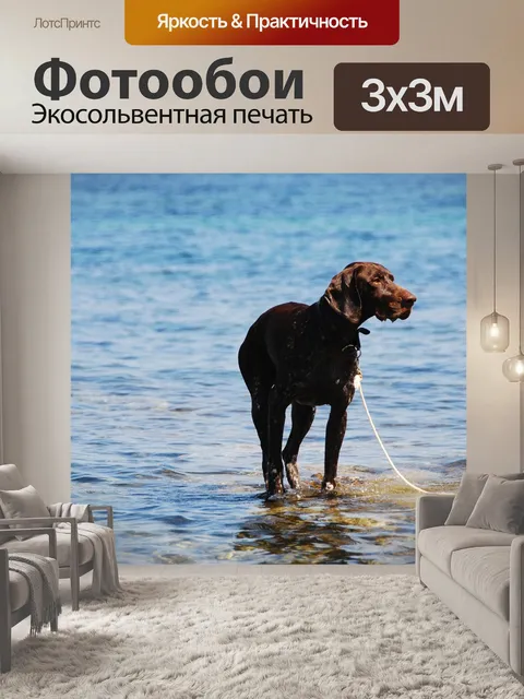 Фотообои Собака