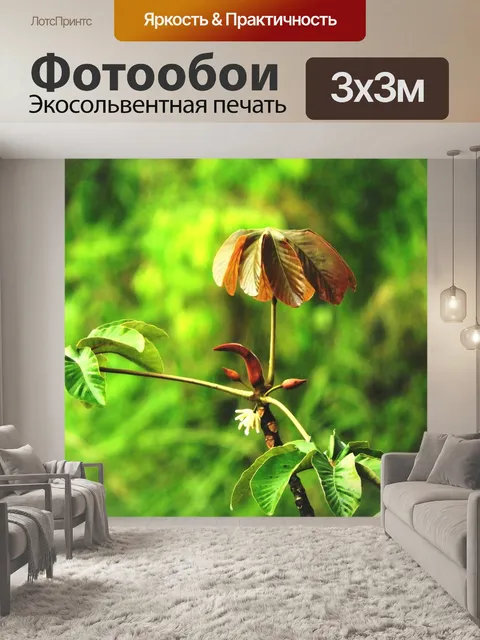 Фотообои Пейзаж