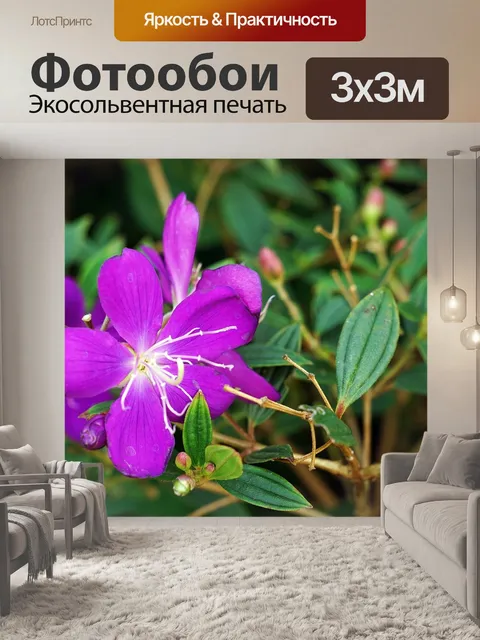 Фотообои Китайский язык