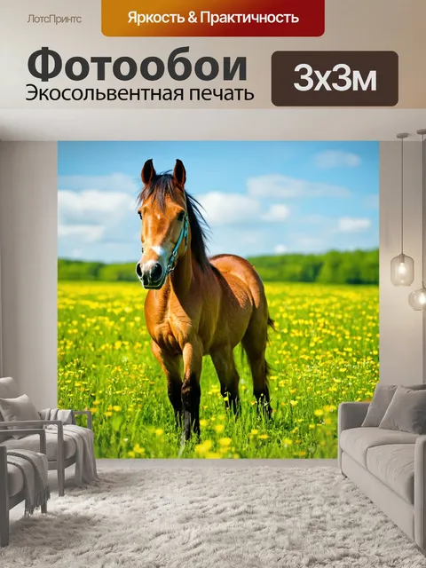 Фотообои пони стоит на зеленом лугу, солнечный день, цветы вокруг