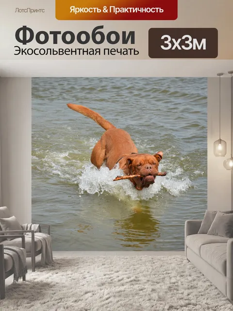 Фотообои Мутной воде 3