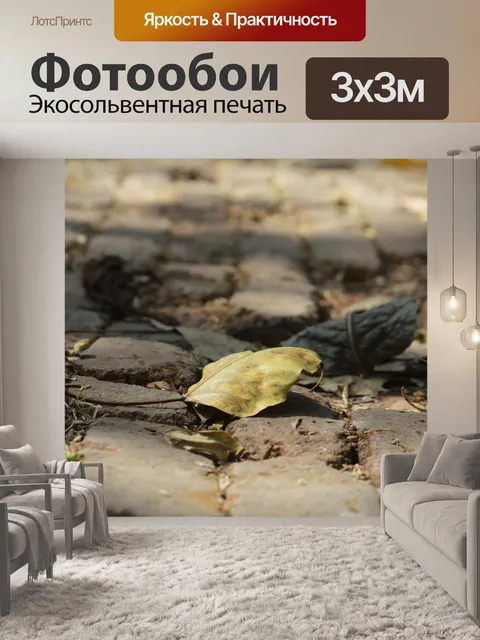 Фотообои Сушеный