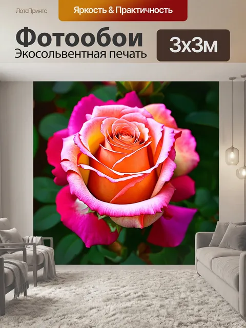 Фотообои розы в стиле раскраска, крупные плановые детали, акцент на текстуры лепестков