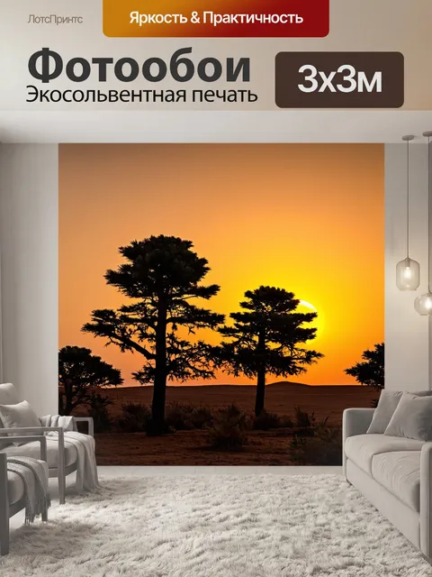 Фотообои египет в стиле импрессионизм, показывающие возрастные силуэты сосен на фоне солнечного заката