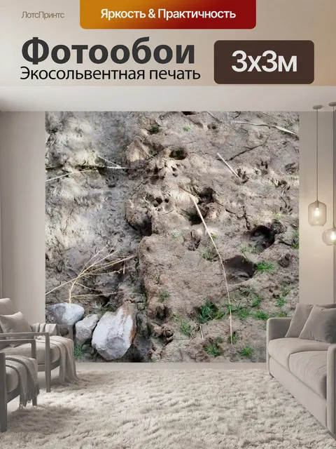 Фотообои Animal Tracks