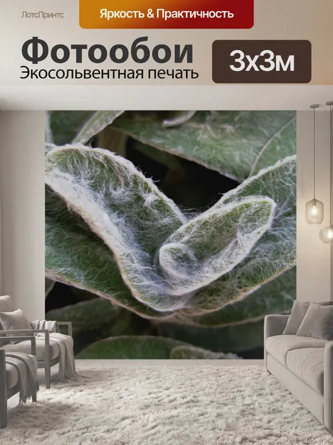 Фотообои ухо ягненка в саду