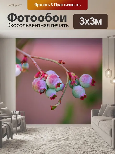 Фотообои фиолетовый оттенок на созревающей черник