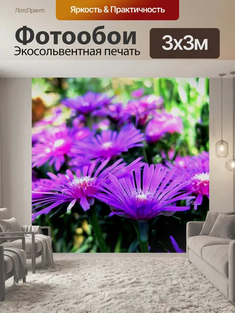 Фотообои розовые vygies