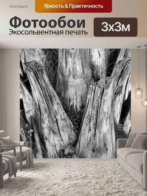 Фотообои Палм текстуры ствола дерева