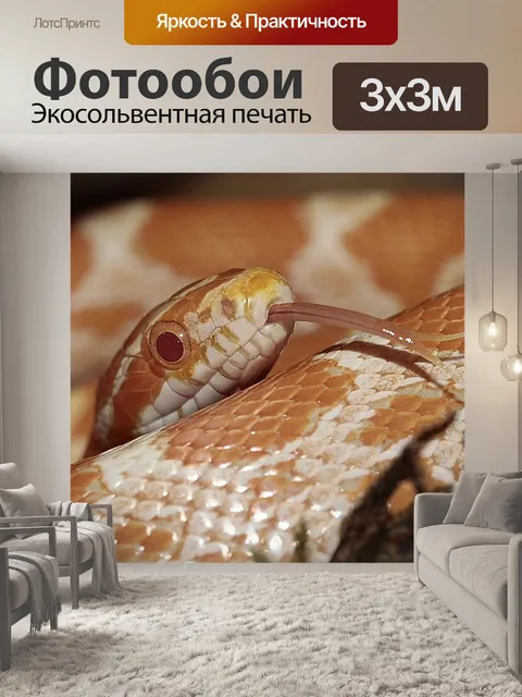 Фотообои Кукурузная змея