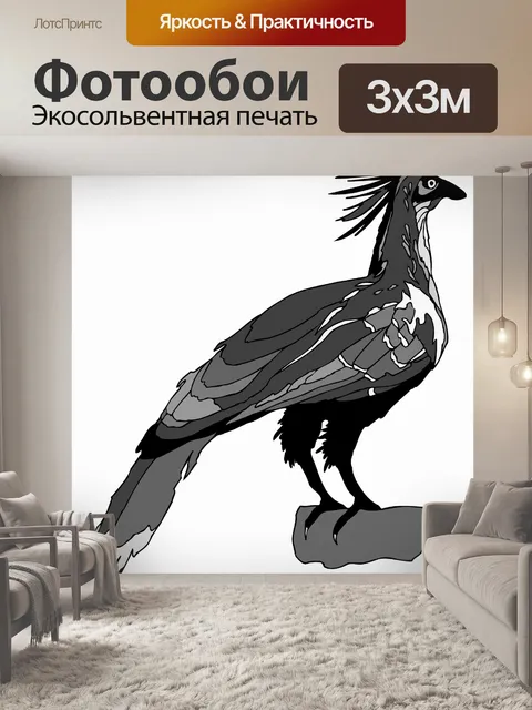 Фотообои Черно-белая серия птица