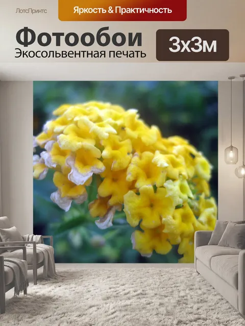 Фотообои Желтый цветок