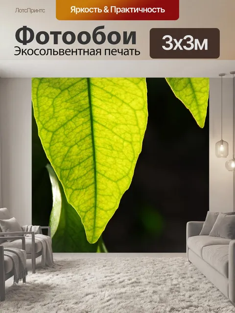 Фотообои Крупный план ярко-зеленого листа