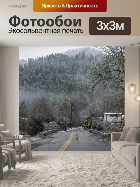 Фотообои Зимняя дорога в Орегоне